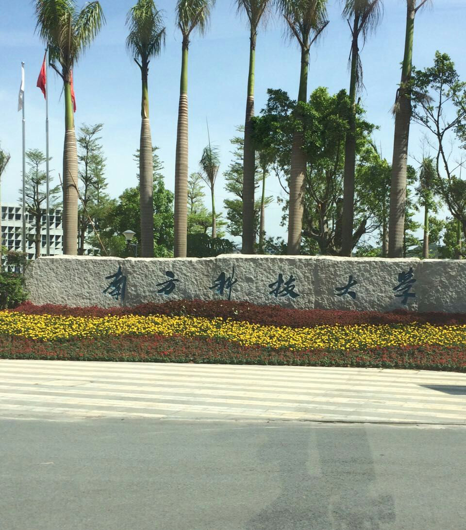 深圳南方科技大學 深圳南方科技大學